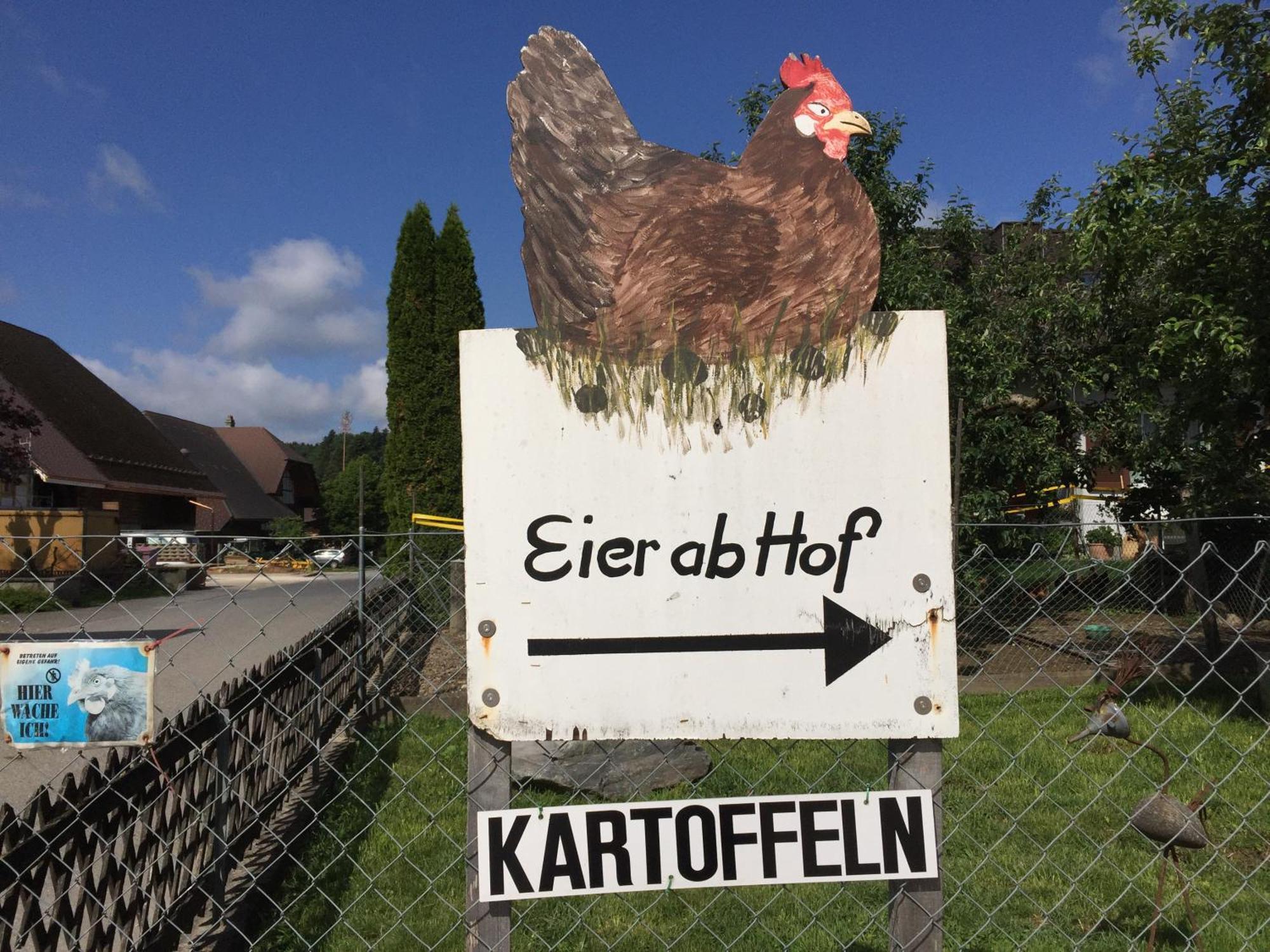 "Zur Alten Schmiede", 70M2 Studio Mit Kaminfeuer Und Sauna Fraubrunnen Экстерьер фото