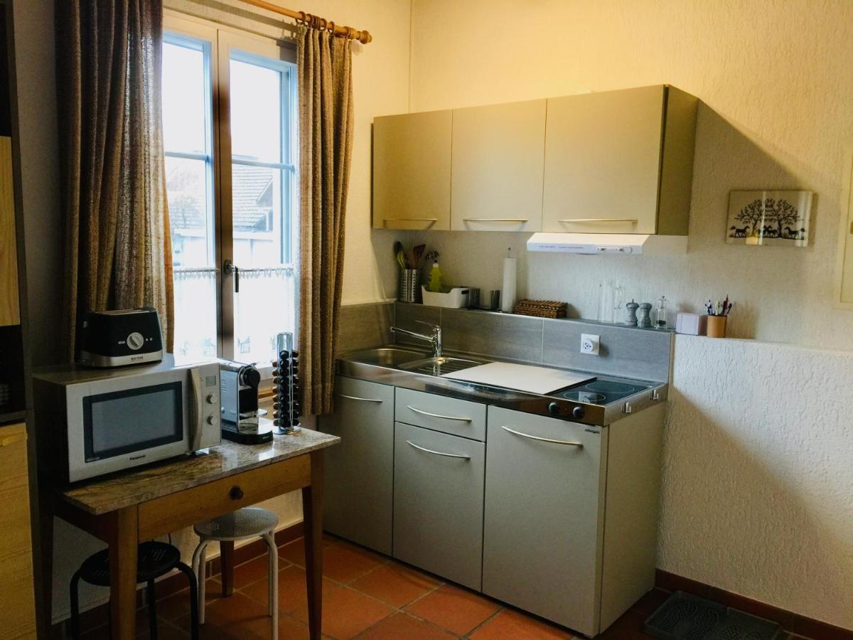 "Zur Alten Schmiede", 70M2 Studio Mit Kaminfeuer Und Sauna Fraubrunnen Экстерьер фото
